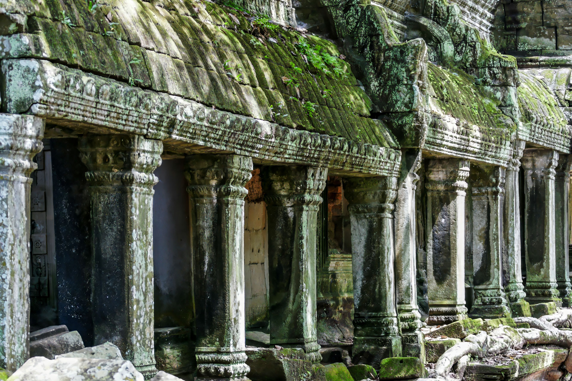 Ta Prohm ("königliches Kloster") ist ein zwischen dem späten 12. und frühen 13. Jahrhundert erbauter Tempel. Der Ta Prohm wurde während der Herrschaft des letzten großen Königs des Khmer-Reiches  erbaut, einem Anhänger des Mahayana-Buddhismus.